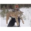 Image 2 : 5 Day Lynx Hunt in Southern British Columbia