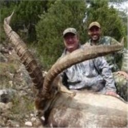 4 Day Mountain Hunt in Spain