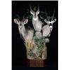 Image 2 : $2,500.00 Taxidermy Credit