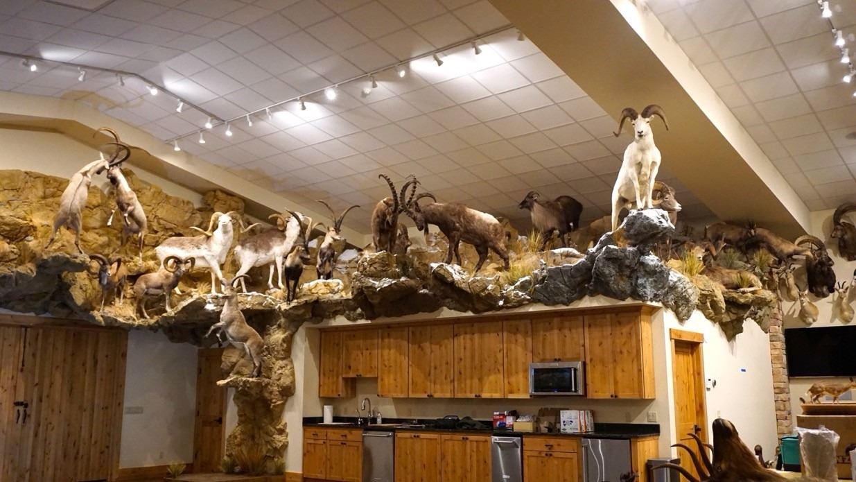 Trophy Room Design and Build