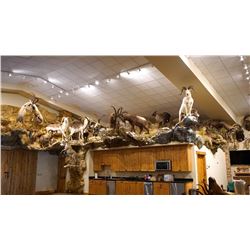 Trophy Room Design and Build