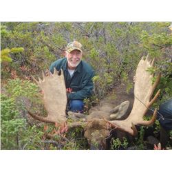 Moose Hunt in Newfoundland