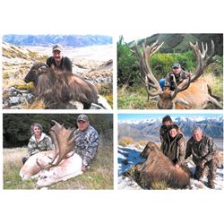 Red Stag Trophy Hunt in New Zealand