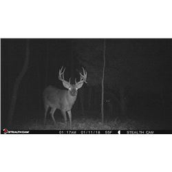 Whitetail Hunt across Multi-state