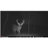 Image 1 : Whitetail Hunt across Multi-state