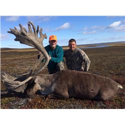 5 1/2 Day Central Canadian Barren Ground Caribou Hunt
