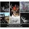 Image 2 : South East Ohio Whitetail Hunt