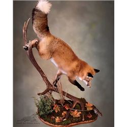 Nature's Best Wildlife Artistry, Taxidermy