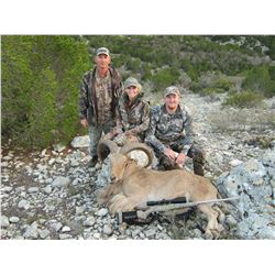 2 1/2 Day Aoudad Hunt for one person in Carta Vallet, TX