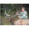 Image 1 : 5 Day Blacktail Deer/Bear Combo hunt for one hunter and one guest in Oregon