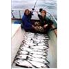 Image 1 : Fishing Ugak Bay Kodiak Island, Alaska