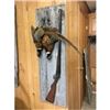 Image 1 : Pheasants mounted with gun