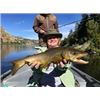 Image 1 : Missouri River Lodge - Fishing – Cascade, Montana