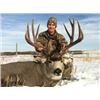 Image 1 : Trophy Archery Whitetail and Mule Deer Combination Hunt - Buckbrush Outfitters –  – Alberta, Canada