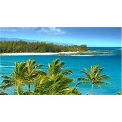 Hawaiian Islands Condo