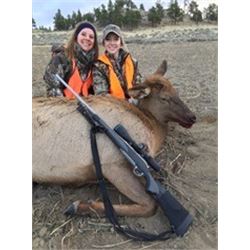 MONTANA  COW ELK HUNT FOR 2 HUNTERS Winnett