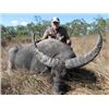 Image 1 : Water Buffalo Big Game Safaris – Australia