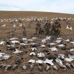 Goose and Duck Hunt - Great White Holdings Alberta