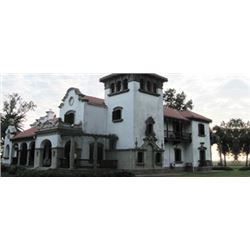 Dove Shooting - Argentina - Estancia La Criolla – Dove shooting