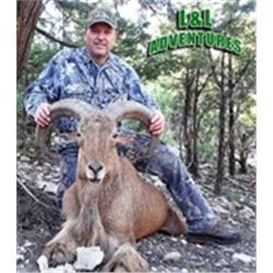 Texas – L & L Adventures - Aoudad Hunt, Pig and Fishing