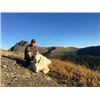 Image 1 : Fall Mountain Goat & Black Bear - Last Frontier Hunting Company - British Columbia