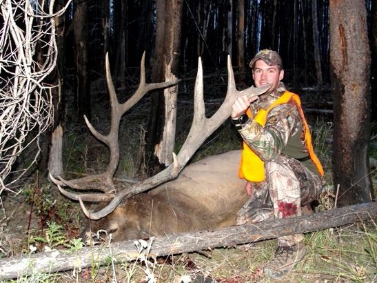 Trophy Elk Deer Black Bear And Wolf Horseback Hunt Bob Marshall Wilderness Montana - 