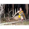 Trophy Elk, Deer, Black Bear and Wolf Horseback Hunt Bob Marshall Wilderness Montana