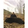 Image 1 : 6 Day 2:1 Spring Skeena Black Bear Hunt