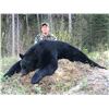 Image 4 : 7 Day 1:1 Spring Black Bear Hunt