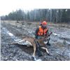 Image 1 : 5 Day Saskatchewan Whitetail Deer Hunt