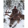 Image 2 : 6 Day 1:1 Lynx & Whitetail Combo Hunt