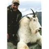 Image 1 : 10 Day Mountain Goat Hunt