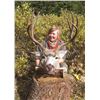 Image 1 : 7 Day 1:1 Mule Deer Hunt