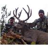 Image 4 : 7 Day 1:1 Mule Deer Hunt