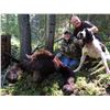 Image 4 : Spring Black Bear with Hounds