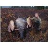 Image 3 : 10 Day Moose Hunt