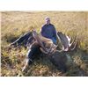Image 5 : 10 Day Moose Hunt