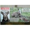 Image 1 : 4’ x 8’ Cow Moose Sign