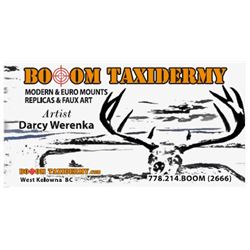 $350 Gift Certificate Towards Half/Full/Shoulder Mount or Rug