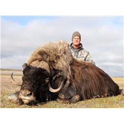 Alaska Nunivak Island Bull Muskox Special Permit (DX001/DX003)