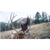 Image 1 : Montana Elk and Deer Combo Hunt for One Hunter