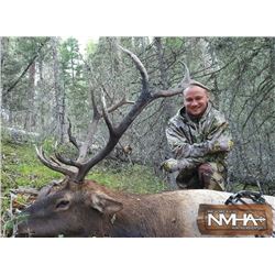 New Mexico Archery Elk Hunt for Two Hunters