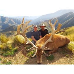 New Zealand Red Stag Hunt