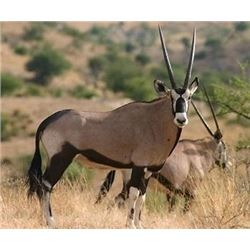 Namibia: Winpoort Farm Trophy Hunting