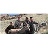 Image 1 : Five Day Altai Ibex Hunt in Mongolia