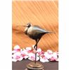 Image 3 : Exotic Brazilian Bird Statue on Marble Base Figurine