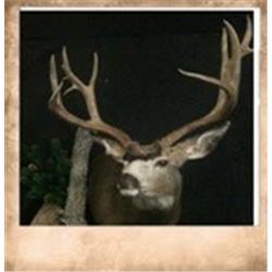 Precision Wildlife Artistry