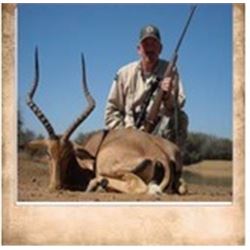 South Africa Limpopo Safari