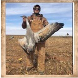 Sandhill Crane Hunt, Texas