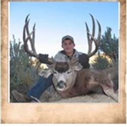 Paunsaugunt, Mule Deer